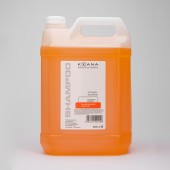 Kyana Shampoo Neutralising Post Color 5lt / εξουδετερωτικό βαφής